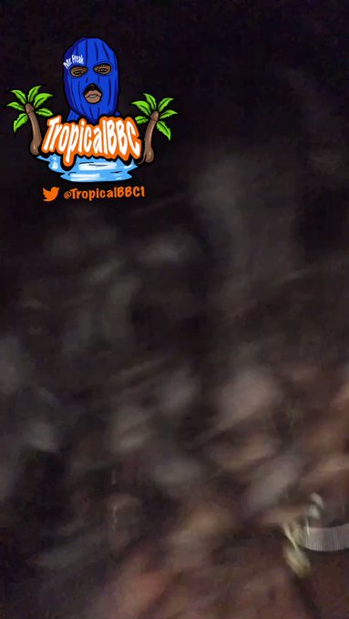 Gatta love a woman who love to suck some dick they dangerous asf😅 https://t.co/bVFHHPNA4L