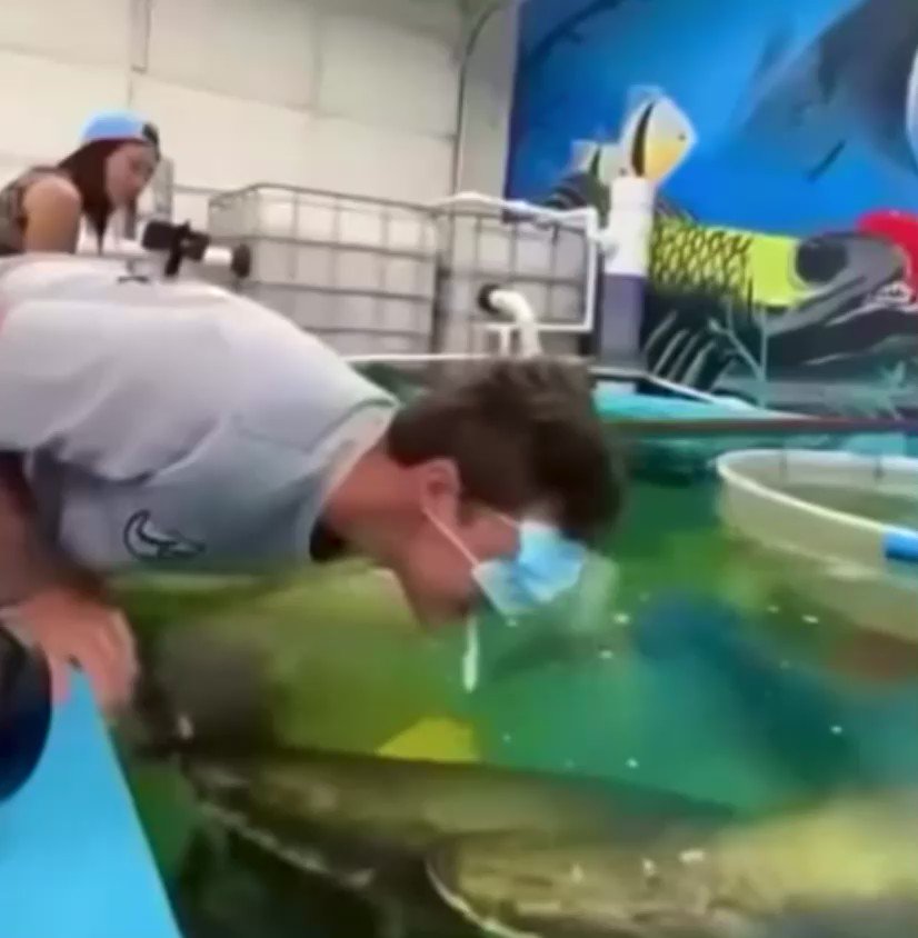 Manny 🧙♂️ on Twitter "RT HoodLeakTV Man gets knocked out by a fish"