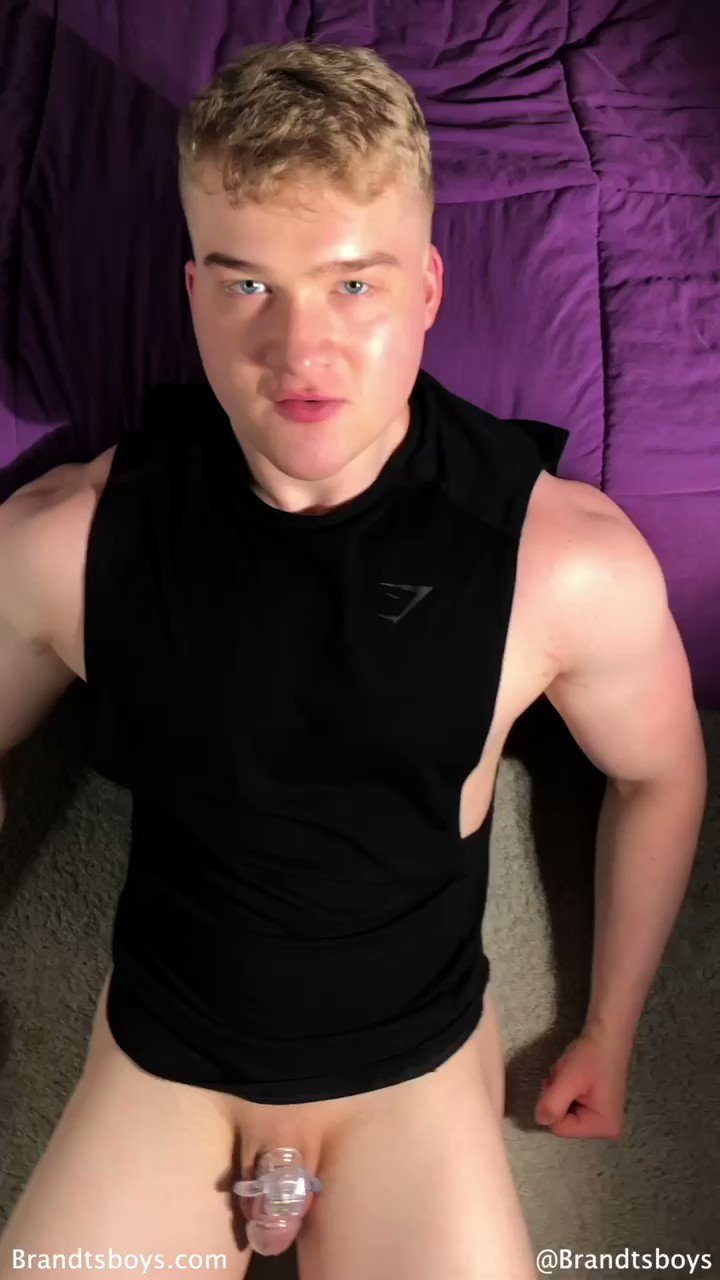 @AlekxBrandts video Tweet