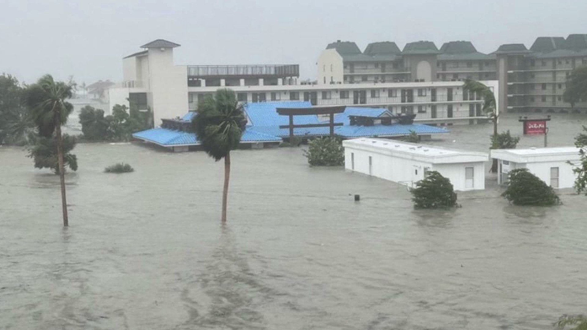 collier-county-public-schools-on-twitter-video-ccps-superintendent