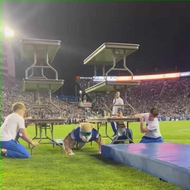 BYU Mascot is going viral Picture