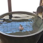 ツイートに含まれる画像