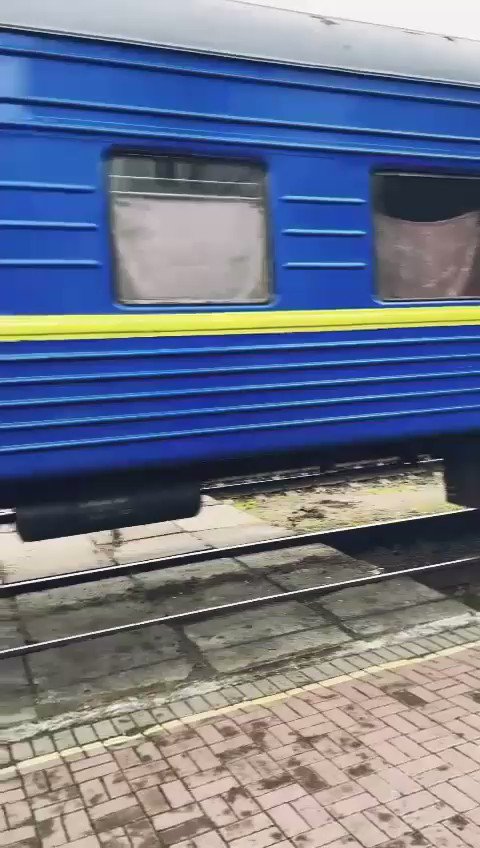Патрульна Поліція on Twitter: "Вони бачили і чули жахи війни Вони ...