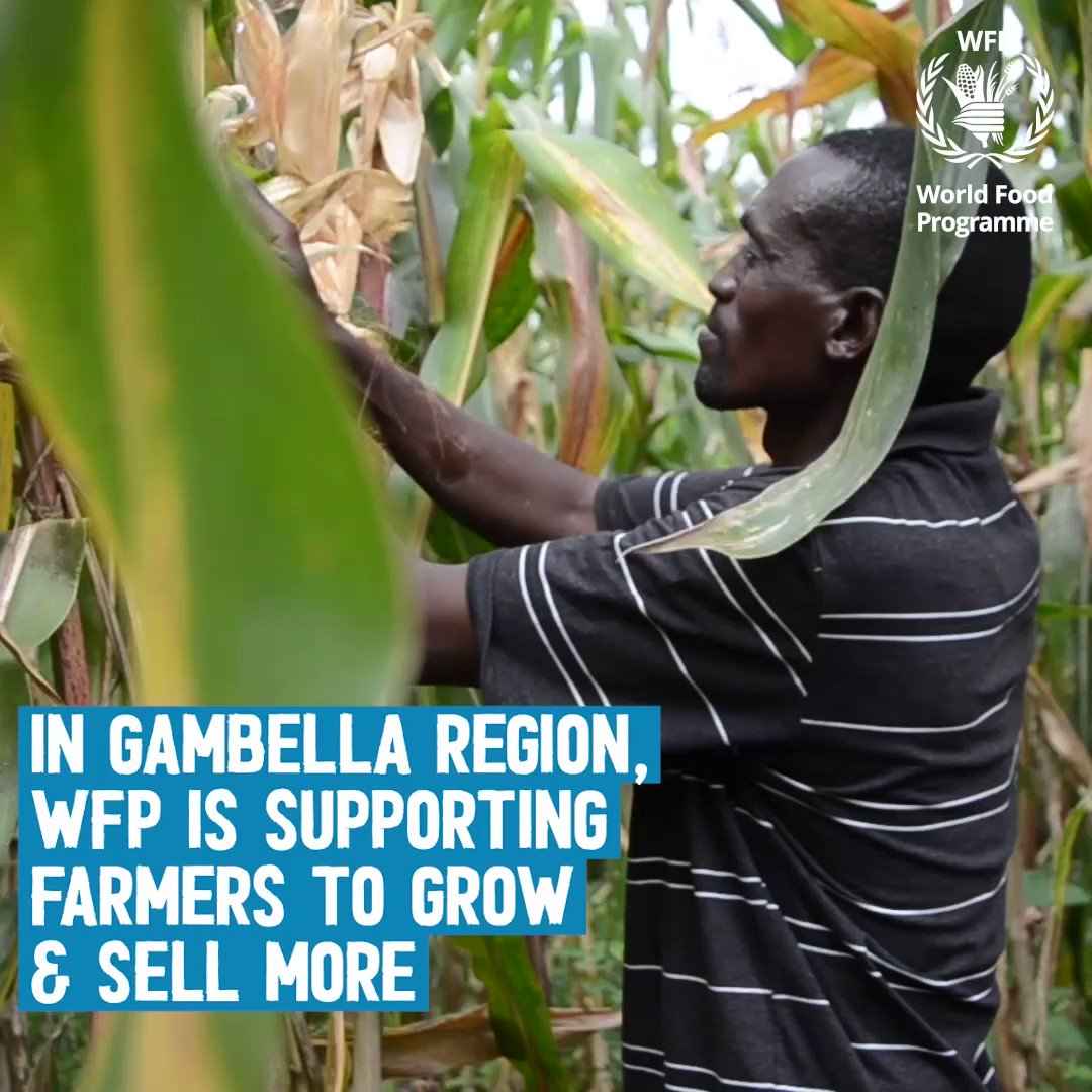 wfp-ethiopia-on-twitter-investing-in-smallholder-farmers-can-improve