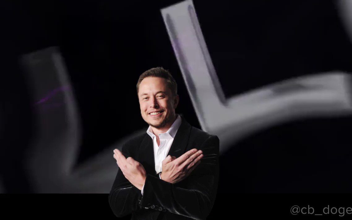 DogeDesigner On Twitter Elon Musk Is Projected To Become World s dogedesigner-on-twitter-elon-musk-is-projected-to-become-world-s