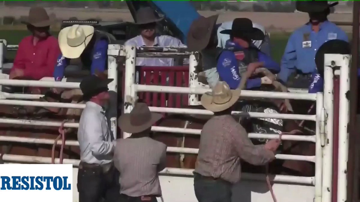 the-cowboy-channel-on-twitter-ryder-wright-s-89-5-point-ride-captured