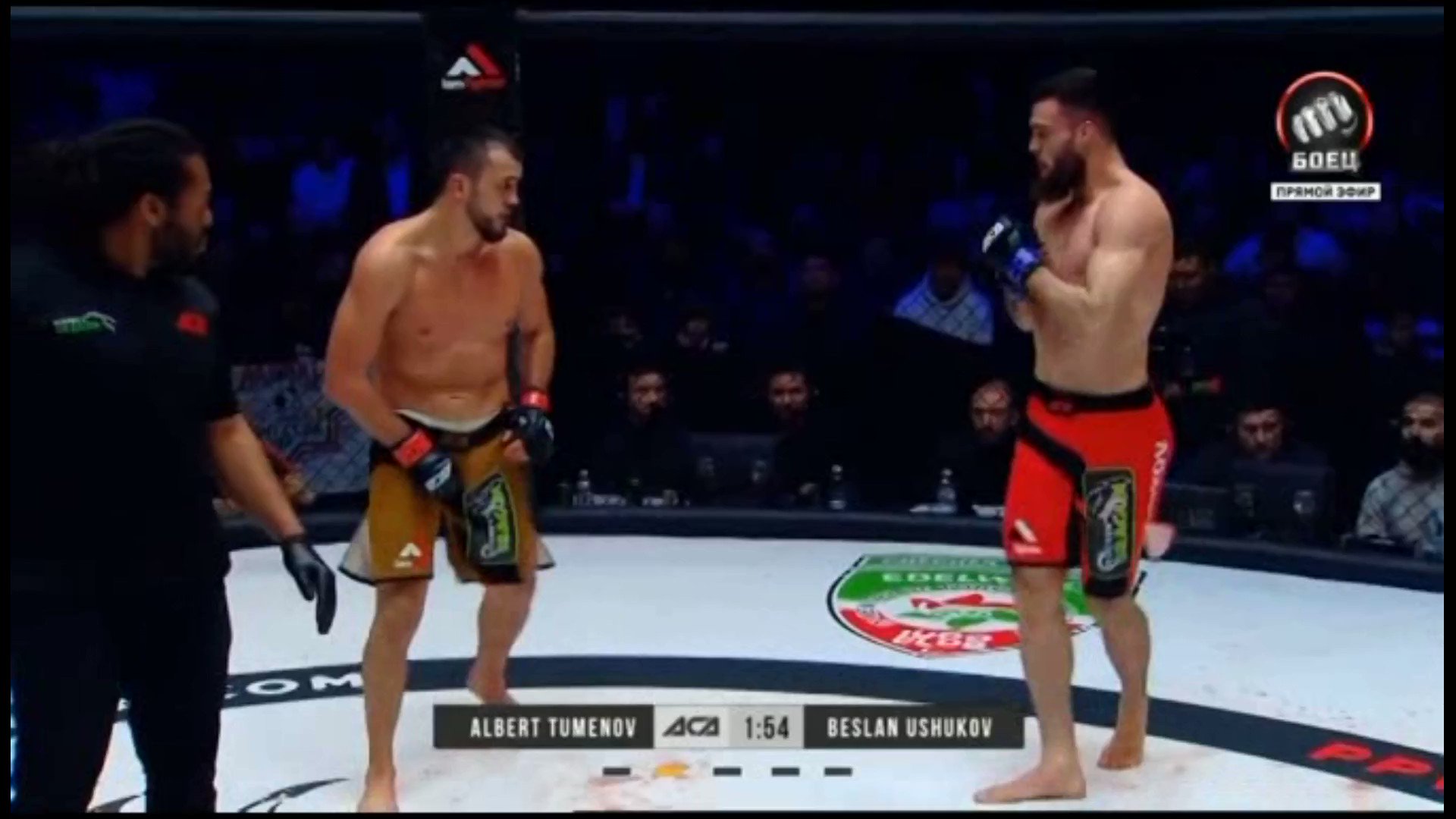 caposa on Twitter "Albert Tumenov is back in the cage for the first