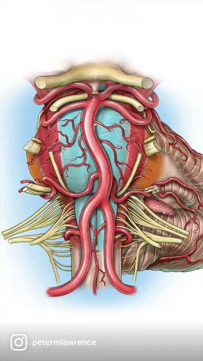 The Innovation Medicine on Twitter "RT PeterMLawrence1 Artwork