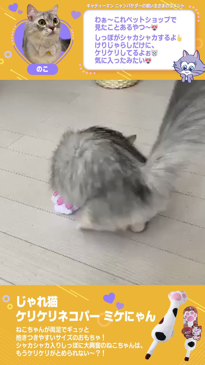 じゃれねこチャン ぐでねこチャン シュシュ5こセット クリスマス