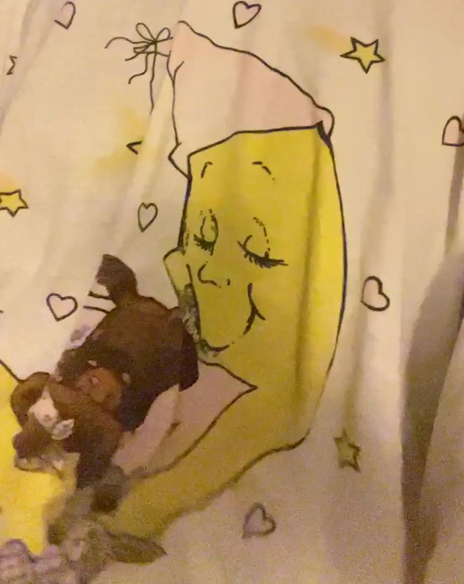 East Coast Cryptid’s pics and videos