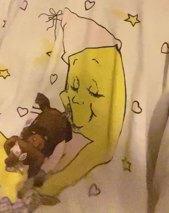 East Coast Cryptid’s pics and videos