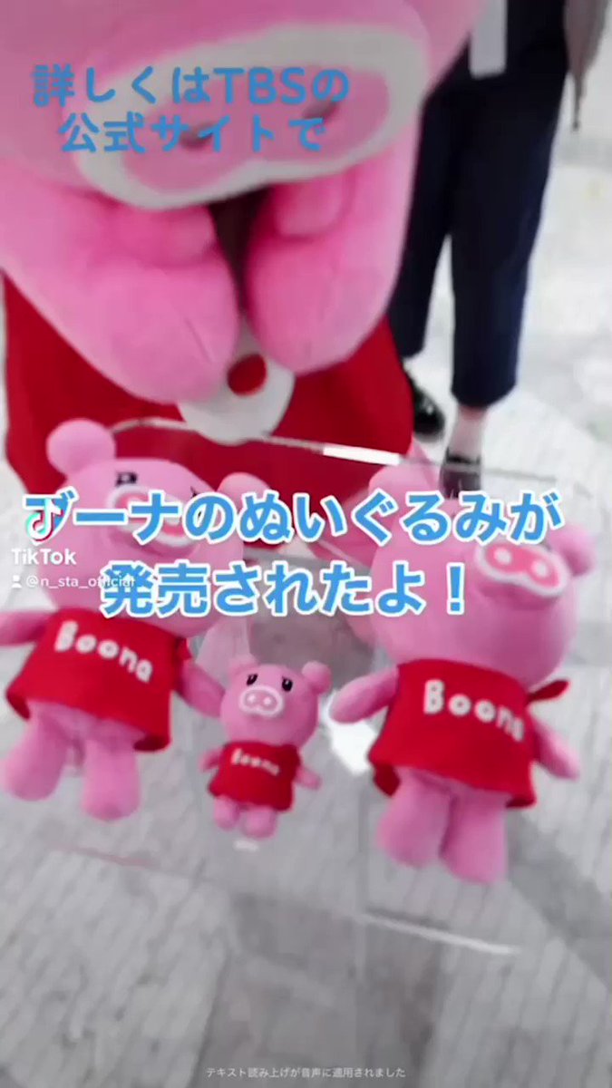 TBS ぶーなちゃん&ブーブのぬいぐるみ Boona／ぬいぐるみ | TBSショッピング