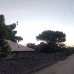 ツイートに含まれる画像