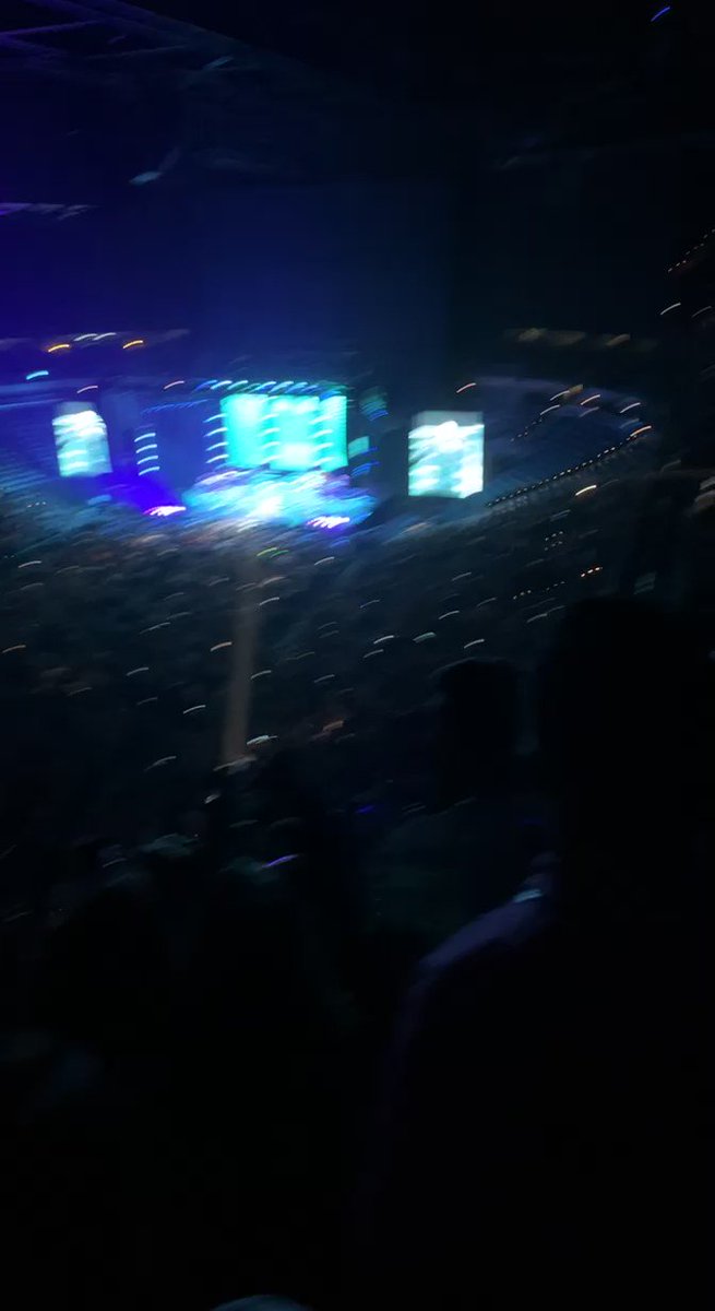 ๐โโฌ on Twitter "RT headovertoes_ a pitbull concert should definitely
