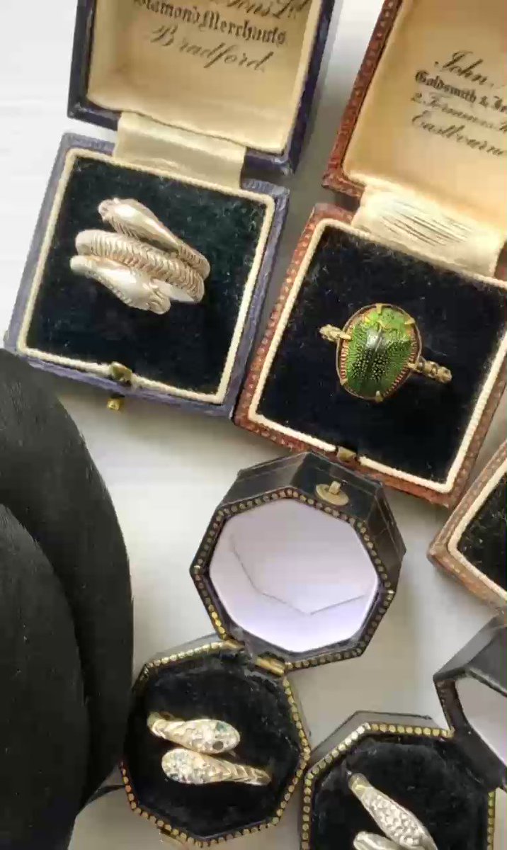 yuto様★専用★超金運上昇✡️金黒蛇石 蛇の脱け殻付き 商品詳細 | トレカアイテムくじOnline