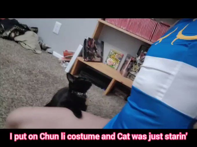 There will be a stream today

But uh, look at this cuteness https://t.co/kBNc6QLt2T