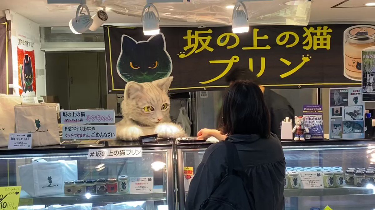 プリン屋さんで猫が働いてる！リアルなネコ店員さんに会えるプリン屋さんがあるらしい。