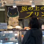 プリン屋さんで猫が働いてる!リアルなネコ店員さんに会えるプリン屋さんがあるらしい。