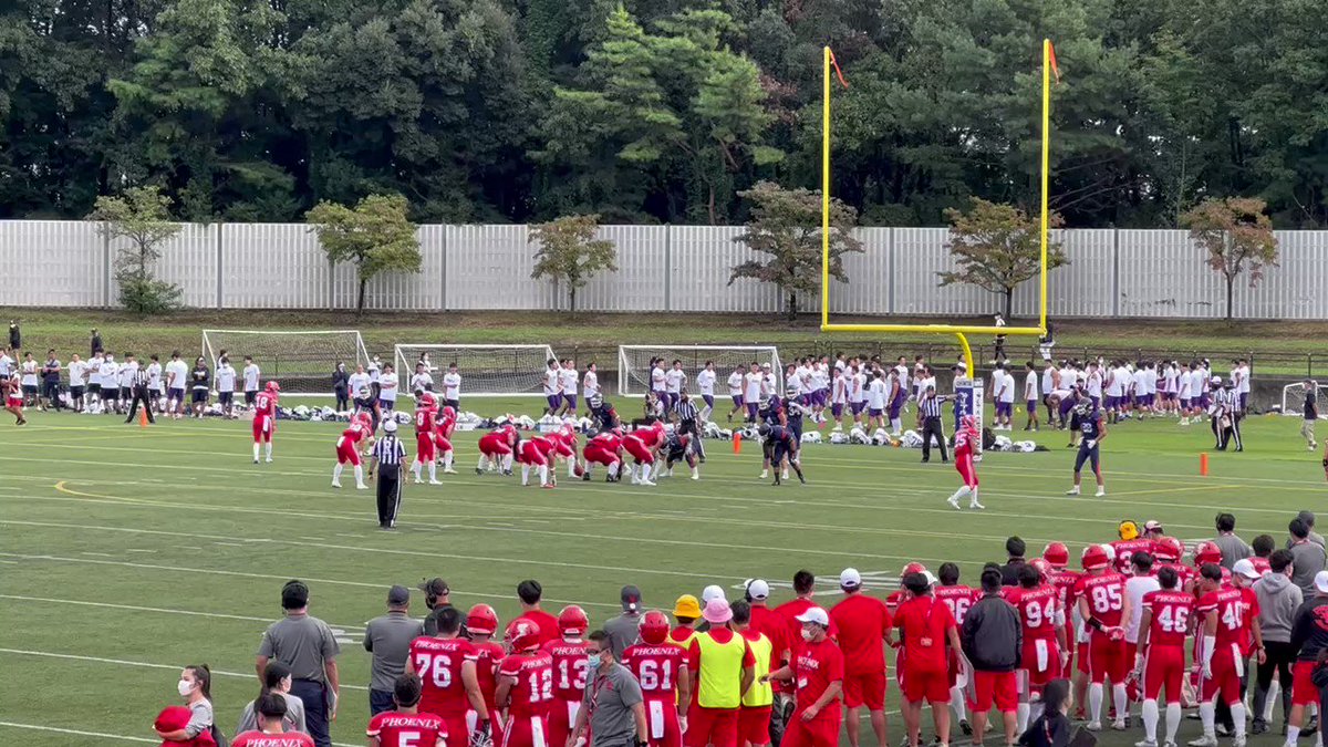 日本大学フェニックス