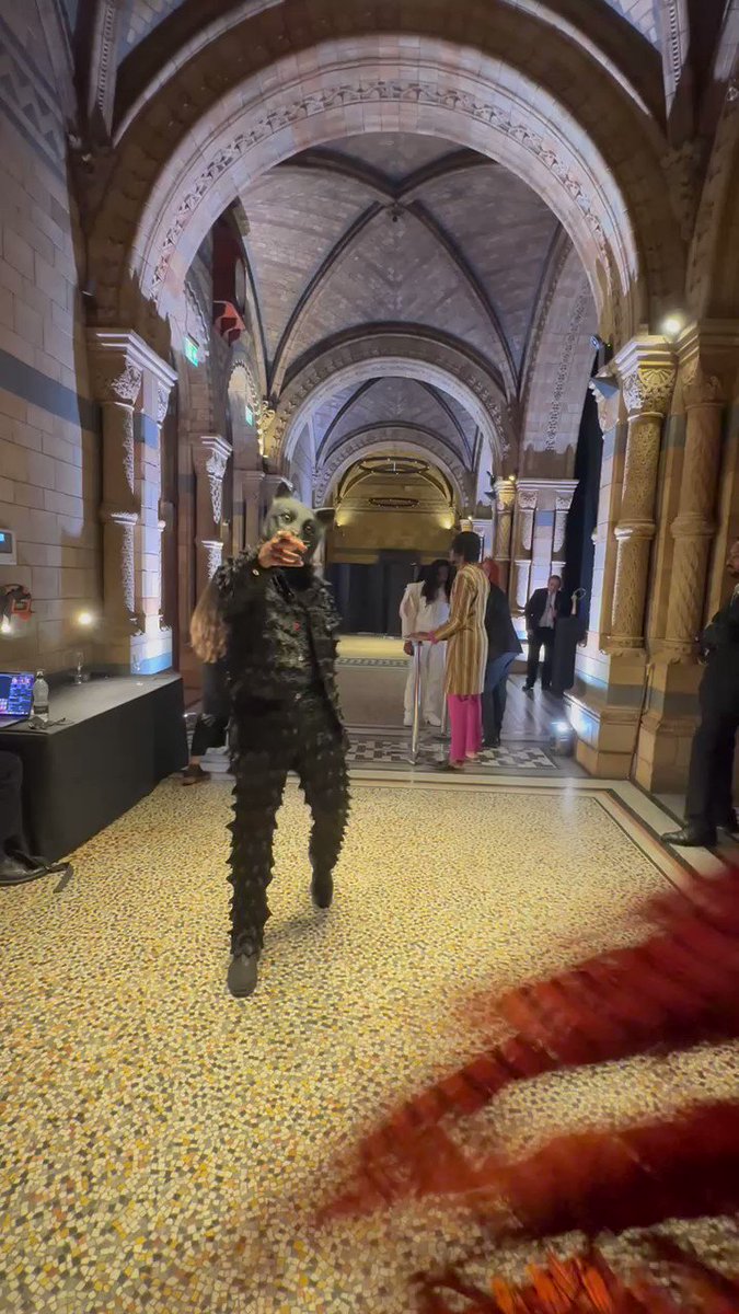 Lux on twitter rt leizenomis sneakbo allegedly turning into a cat