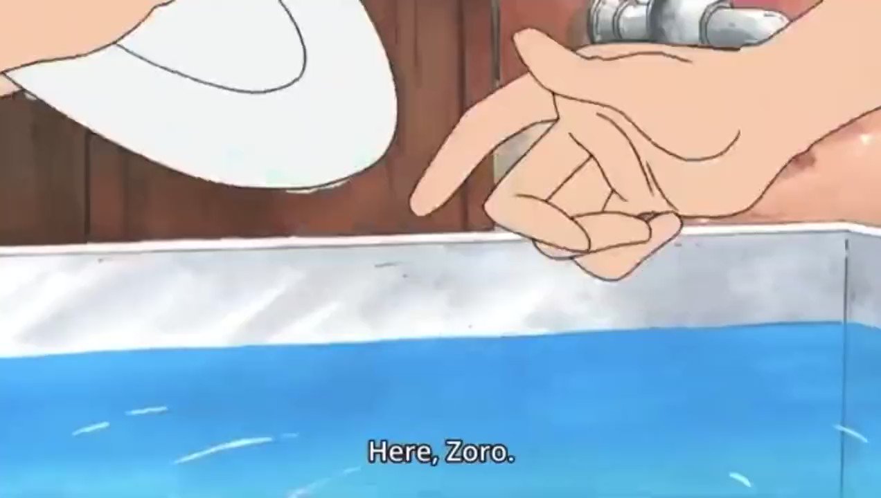 Netflix Brasil has been streaming Zoro and Sanji washing the dishes for  nearly 24 hours : r/MemePiece