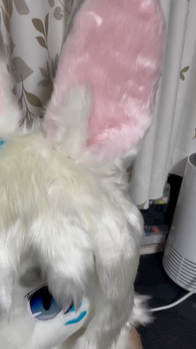 ケモノ 着ぐるみ たぬき ヘッド自作【値下げ中】8月まで-