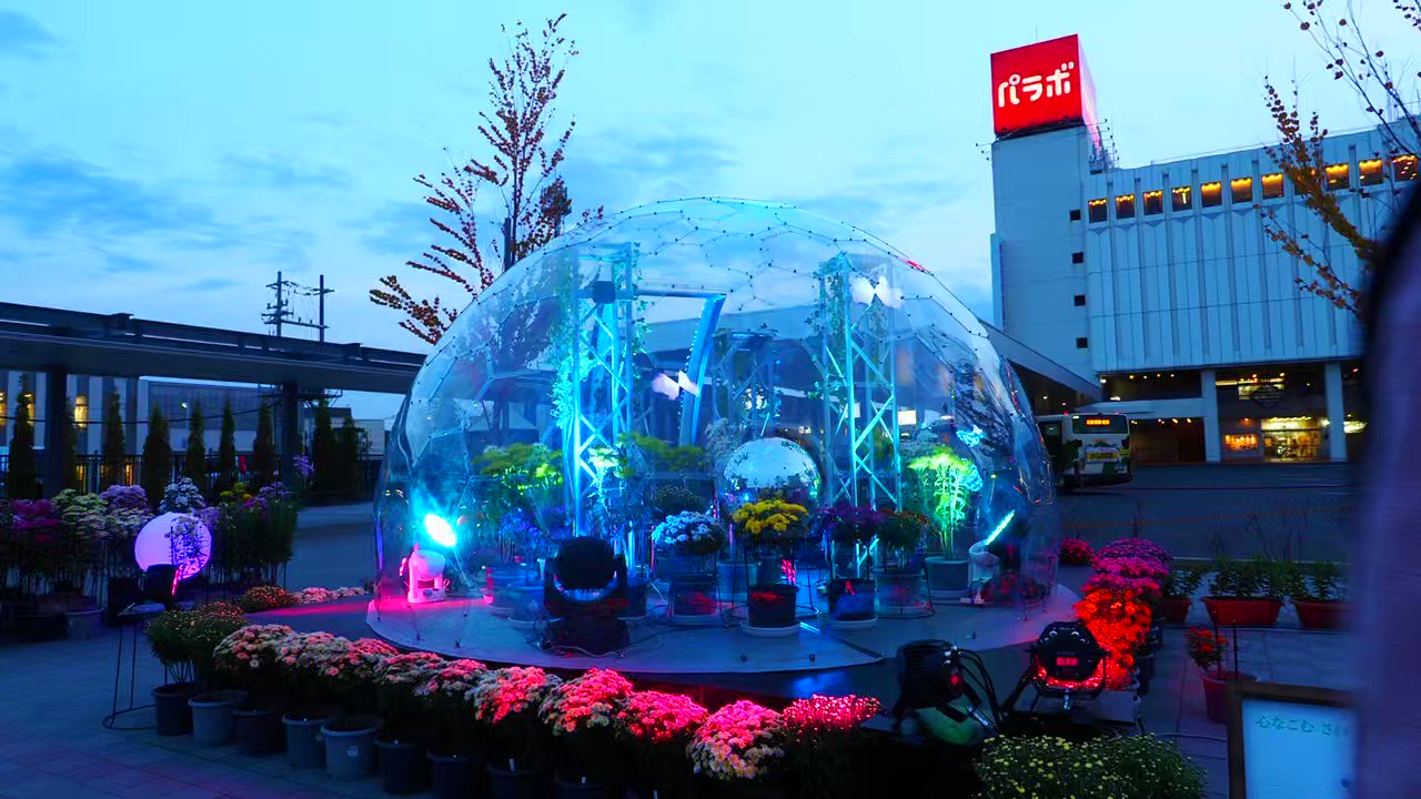 カメラのタカハシ (niceviewtokoro) / Twitter