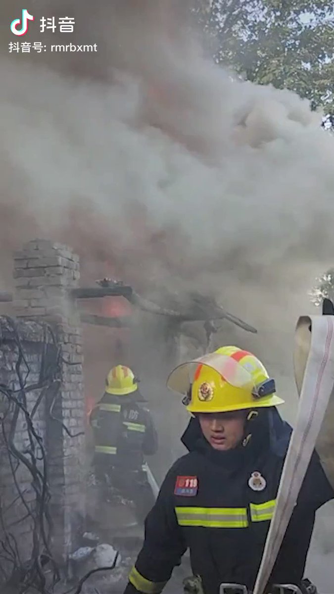 chunyu-on-twitter-the-big-dog-went-into-the-fire-to-find-a