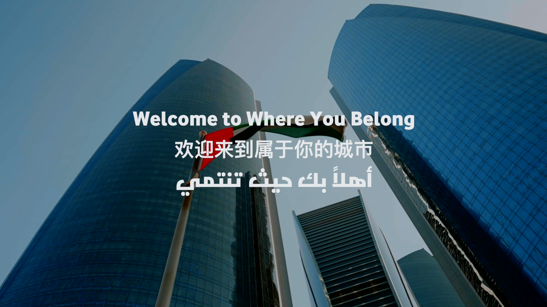 Can You Bring Dogs To Abu Dhabi