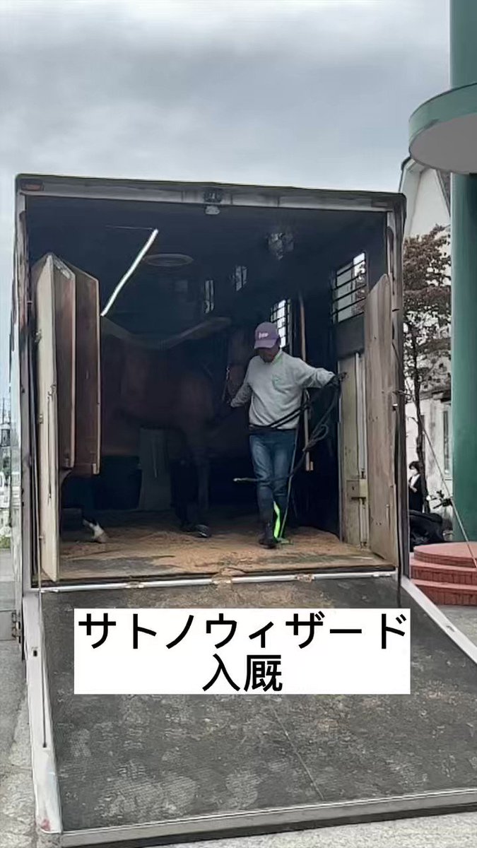 オープン勝ち馬
サトノウィザード
去年の富士S 2着から復帰できず引退
八王子乗馬倶楽部で乗馬入り

ロードカナロア×ブロードストリートという良血馬でびっくりするような末脚を持っていただけに、重賞タイトルが無いままの引退は寂しいですね😢

現役生活お疲れ様でした 