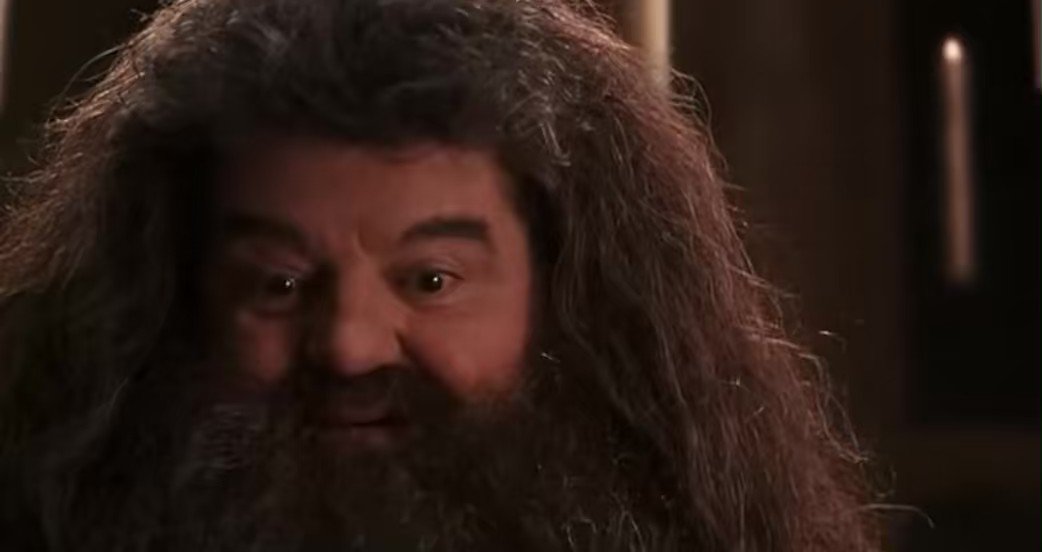 Brieween Era On Twitter Im Gonna Cry Hagrid Was One Of My Favorite