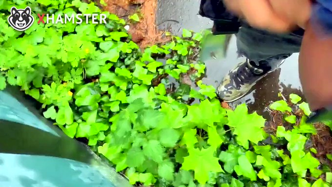 Another hot video uploaded to xHamster! ?

? https://t.co/dnFE89LSvH ?

Check it now! @xhamstercom #xhamster