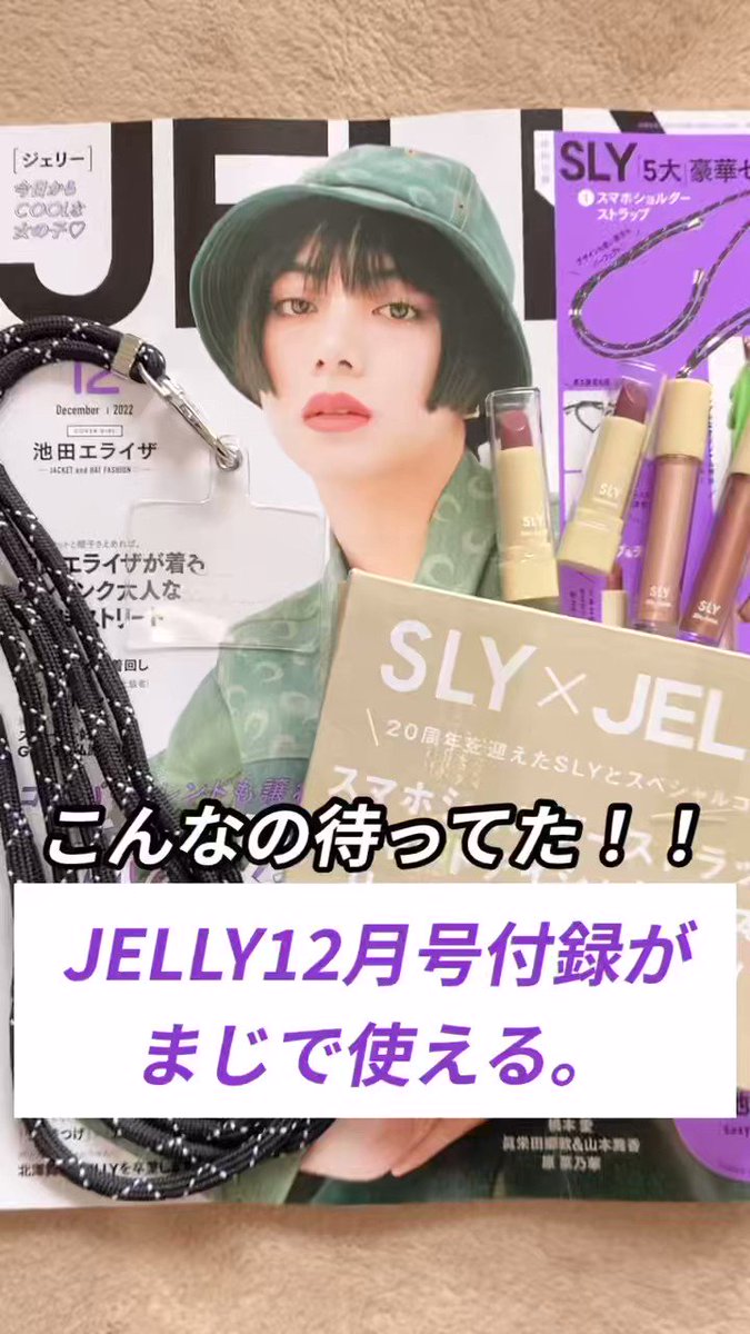 Jelly Sly ジェリー 22年12月号 付録