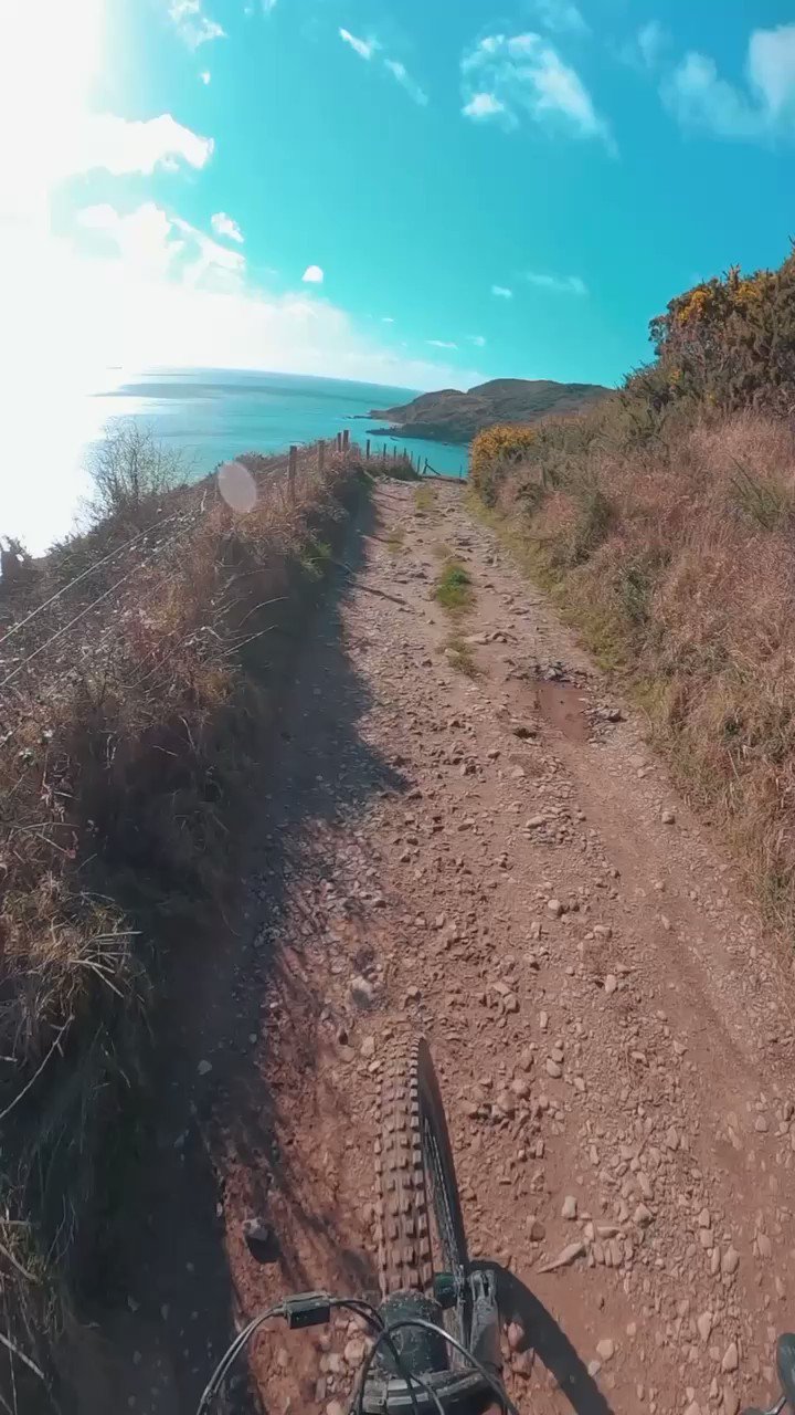 tredz road bike