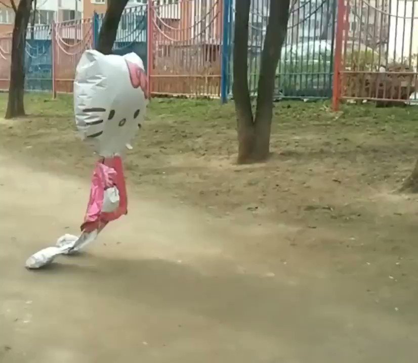 아마도 이미지
