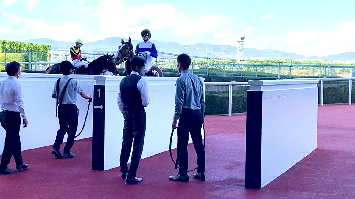 【３連勝でＧ１制覇へ…】今朝の #ウンブライル（牝、木村、父ロードカナロア、母ラルケット）です！併せた相手は #セントオブゴールド。能力の高さはルメール騎手の言葉どおり。全兄ステルヴィオ、全姉ステルナティーアが勝てなかった２歳Ｇ１制覇を…【美浦捜査官・Ｔ】#阪神ＪＦ  