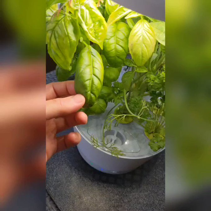 pasta with a side of NUDITY . . #18plusonly #cooking #food #porn #nudistgirl #pretty #prettylittlething<a href="/tag/18plusonly"class="tags">#18plusonly</a><a href="/tag/cooking"class="tags">#cooking</a><a href="/tag/models"class="tags"><span>#models</span></a><a href="/tag/food"class="tags"><span>#food</span></a><a href="/tag/pasta"class="tags"><span>#pasta</span></a><a href="/tag/short"class="tags"><span>#short</span></a><a href="/tag/sexy"class="tags"><span>#sexy</span></a><a href="/tag/free"class="tags"><span>#free</span></a><a href="/tag/porn"class="tags"><span>#porn</span></a>