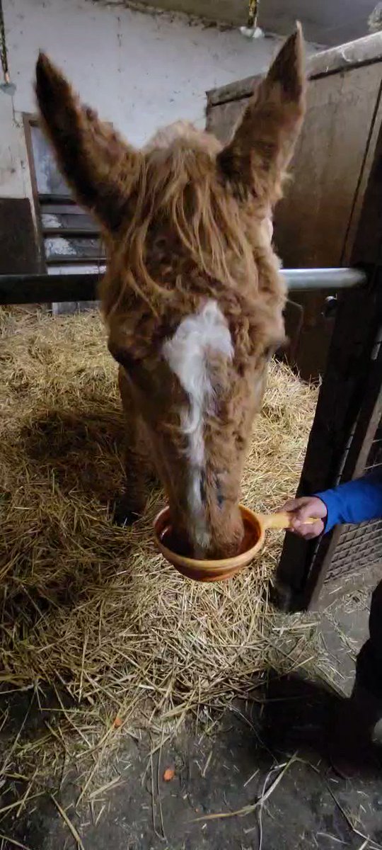 安らかに。。。
お疲れ様でした。。。

サンキララさん 