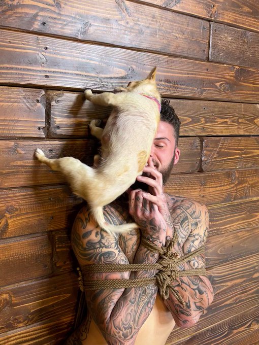 Watch out Hatler...there's Poop on your face!  Getting chihuahua love on break with @inkfit_ ??? @kinkdotcom