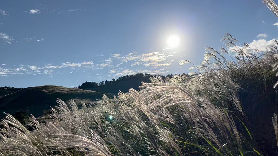 桜井秀雄 (9oAcO4RjkhKr4nI) / Twitter