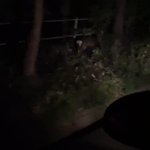新明佑介/シンミョウユウスケのツイート画像