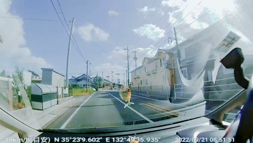 【閲覧注意】自転車の自分本位な運転により車と激突・・これも車の責任？