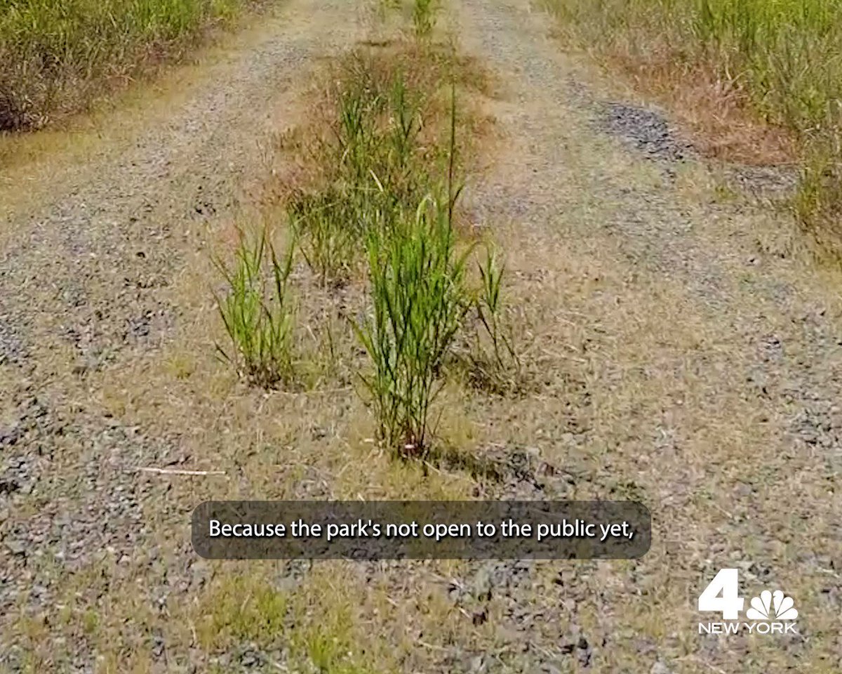 Once the world's largest landfill is turning into a 2,200-acre park, 3x the size of Central Park.

150M tons of NYC garbage are underground. How is it possible? NBC's @lindagaudinoNBC finds out in 