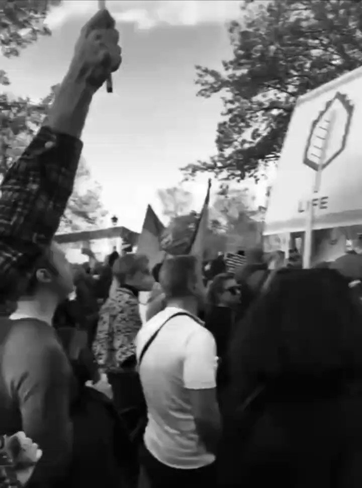 unknown.mp3 (@bestgorillaever) / Twitter