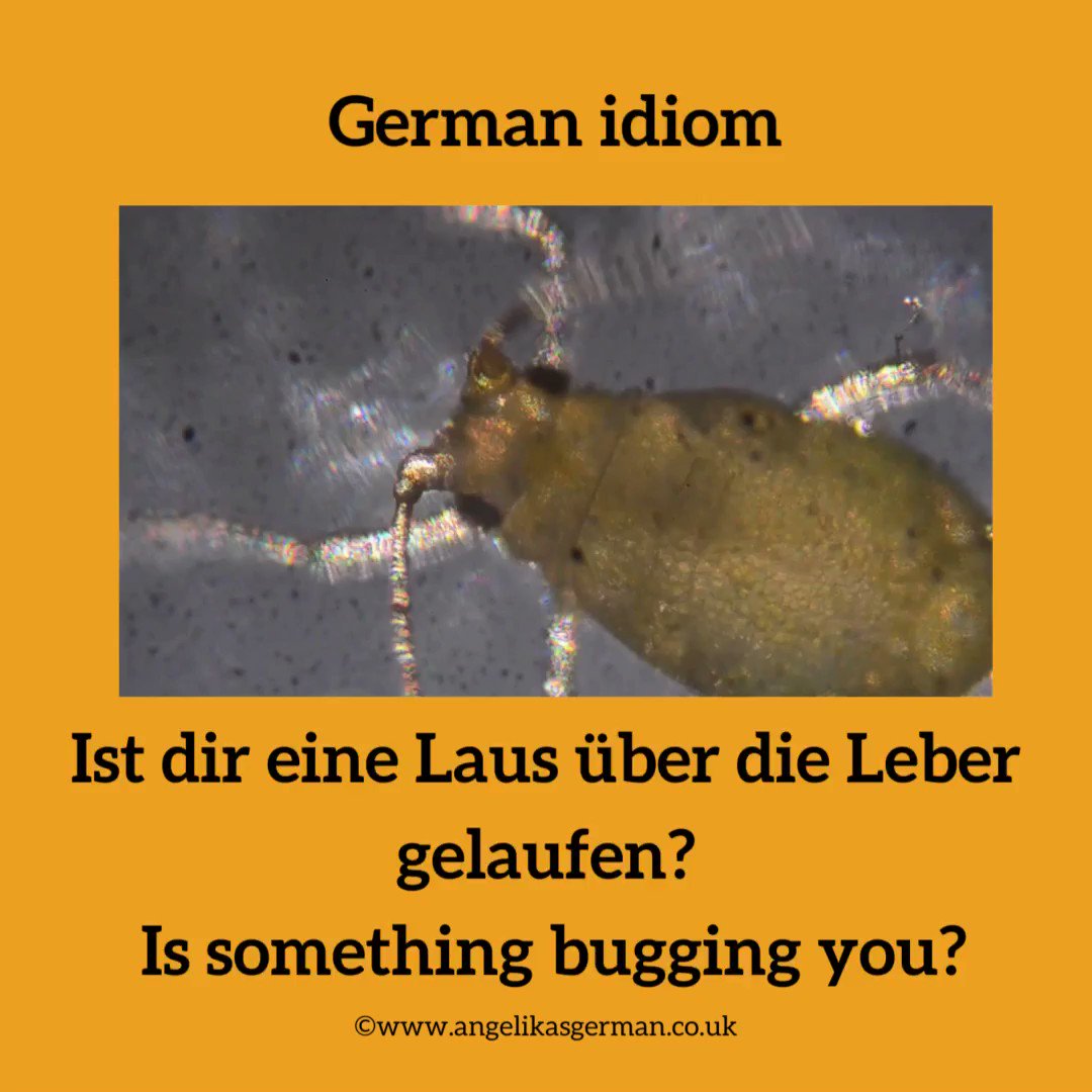 Angelika Davey on Twitter "Another German idiom for you."Ist dir eine