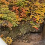 ツイートに含まれる画像