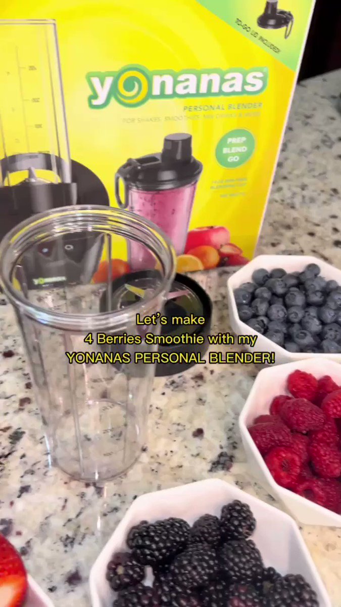 Yonanas Personal Blender for Shakes and Smoothies Yonanas Color: Gray