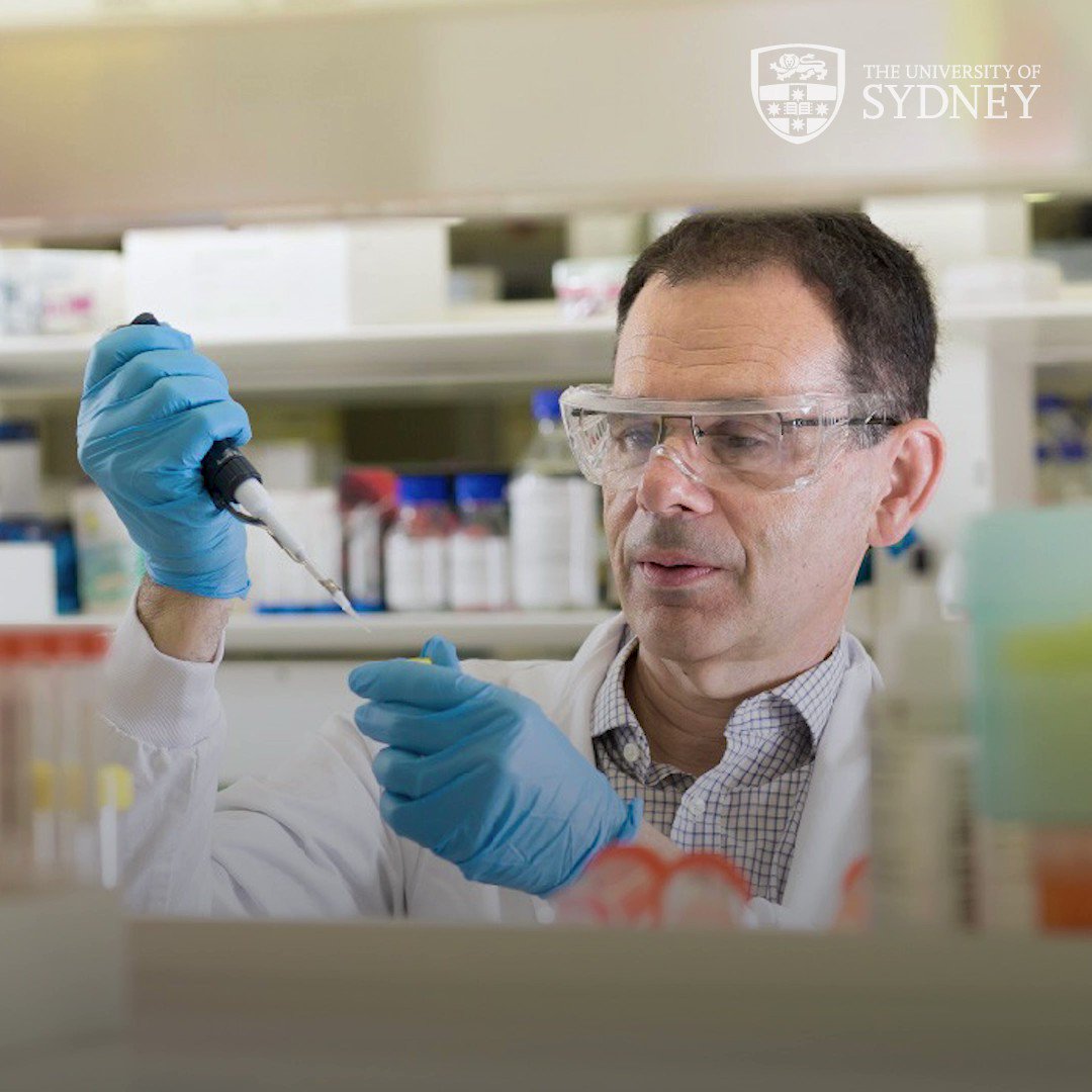 University Of Sydney On Twitter Research Led By Sydney Uni Has university-of-sydney-on-twitter-research-led-by-sydney-uni-has