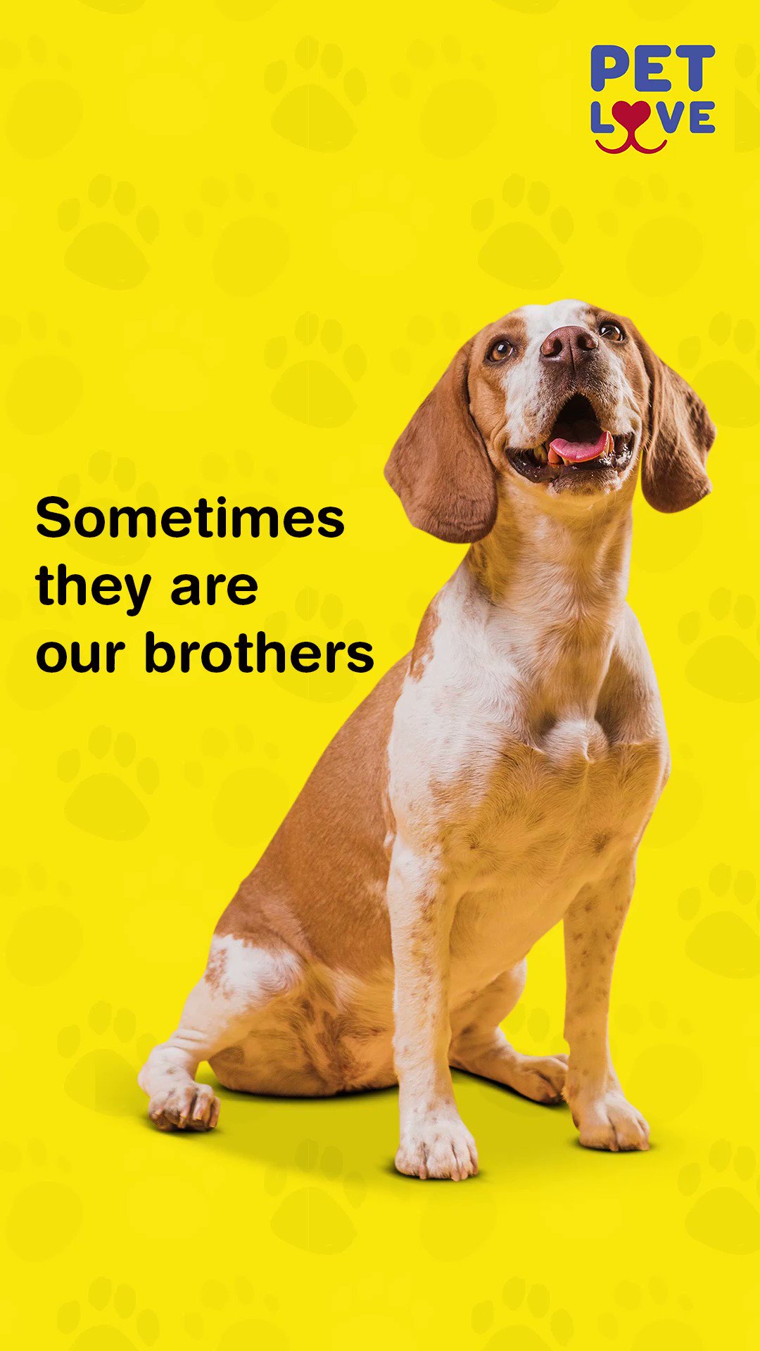 My Pet Love (@ContactPetlove) / Twitter
