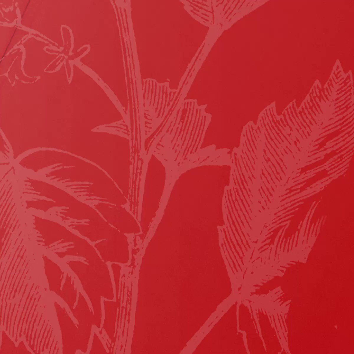 Hodder & Stoughton on Twitter "From her mother she inherited survival